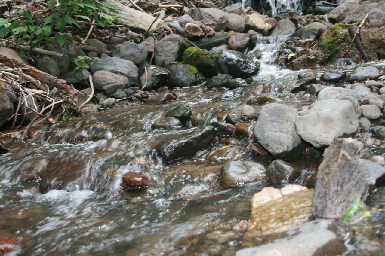 Wapiti Crossing Βίλα Εξωτερικό φωτογραφία